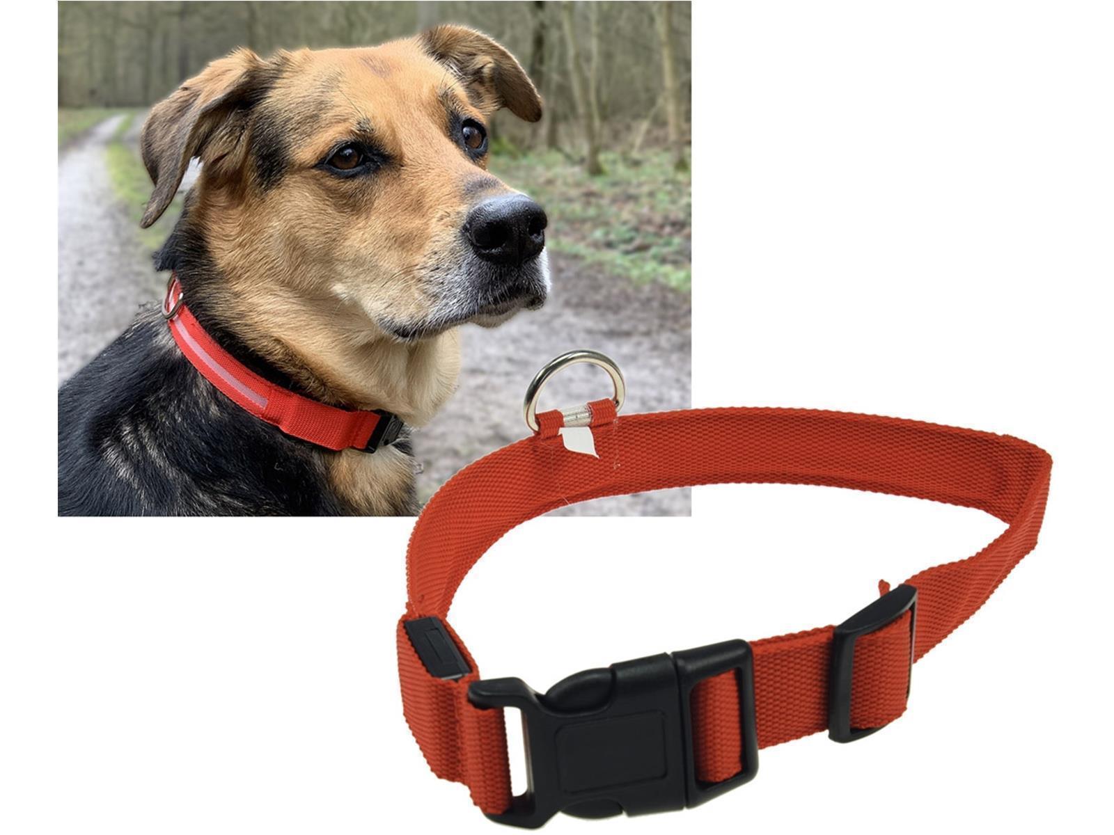 Hunde-Halsband leuchtend mit LED28-35cm, Größe S, rot