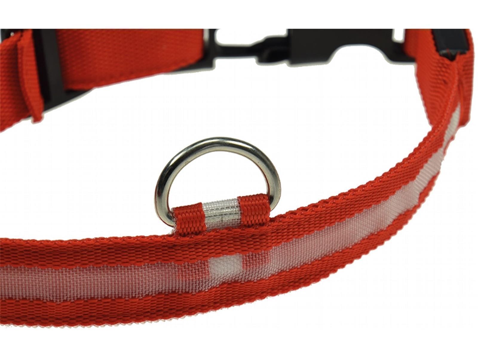 Hunde-Halsband leuchtend mit LED52-60cm, Größe XL, rot