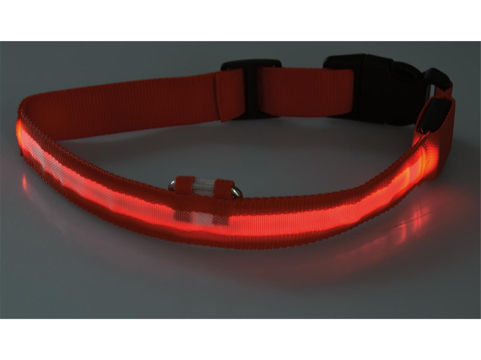 Hunde-Halsband leuchtend mit LED28-35cm, Größe S, rot