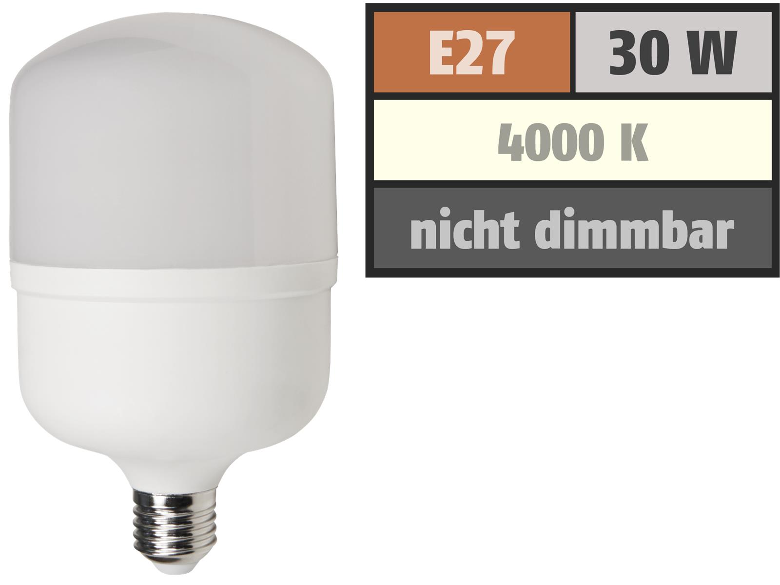 LED Lampe McShine ''BIG30'' E27, 30W, 2800lm, 100x191mm, neutralweiß